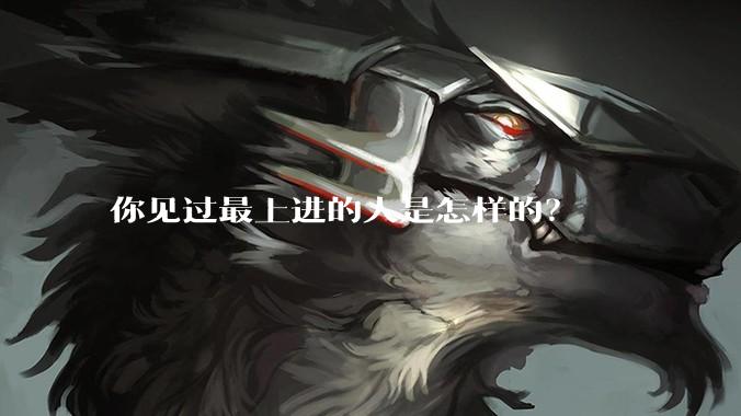 你见过最上进的人是怎样的？