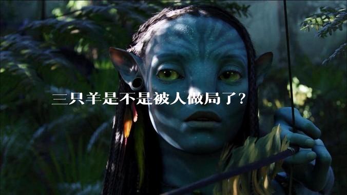 三只羊是不是被人做局了？