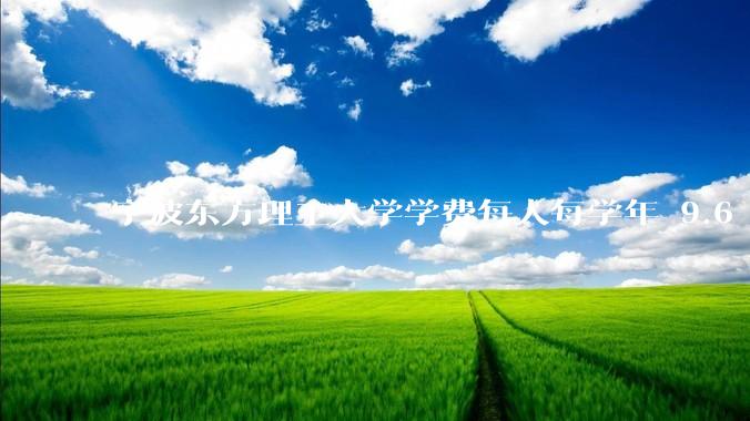 宁波东方理工大学学费每人每学年 9.6 万，为什么会这么贵？