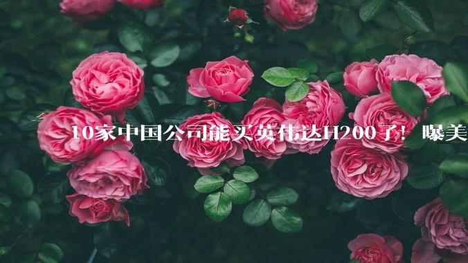 10家中国公司能买英伟达H200了！曝美国***已批准_芯片_出口_市场