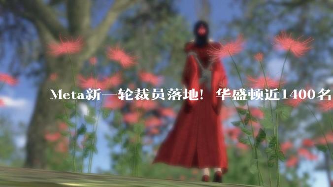 Meta新一轮裁员落地!华盛顿近1400名员工被裁