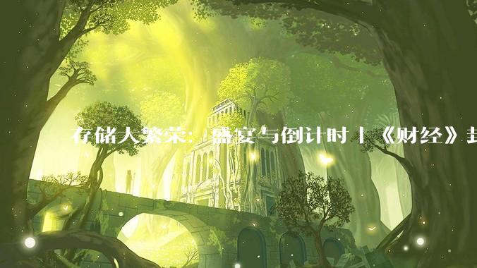 存储大繁荣：盛宴与倒计时｜《财经》封面_周期_行业_全球