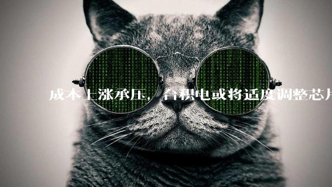成本上涨承压,台积电或将适度调整芯片售价