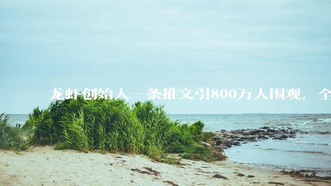 龙虾创始人一条推文引800万人围观，全网都在吵的loop工程到底是个啥？_Agent_循环_编程