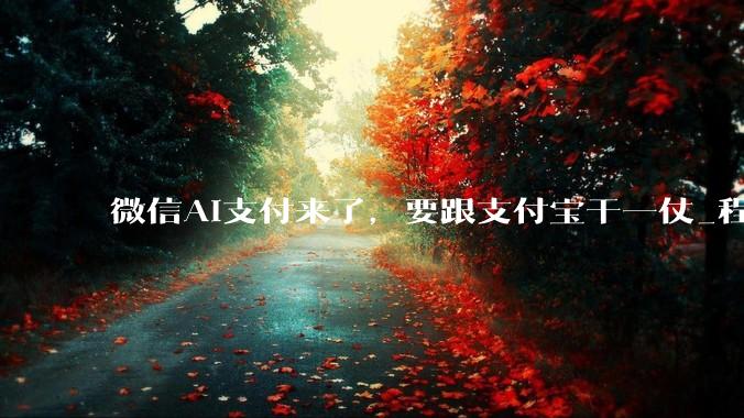 微信AI支付来了，要跟支付宝干一仗_程序上_场景_战场
