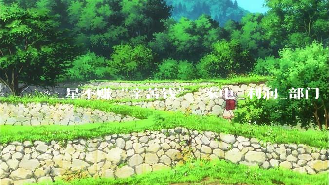 三星不赚“辛苦钱”_家电_利润_部门