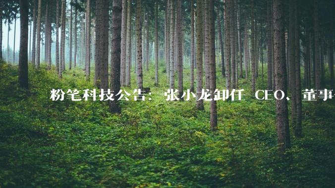 粉笔科技公告:张小龙卸任 CEO、董事会***等全部核心职务