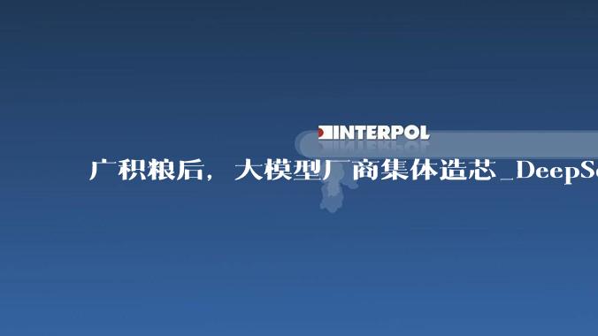广积粮后，大模型厂商集体造芯_DeepSeek_芯片_融资