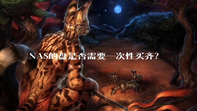 NAS的盘是否需要一次性买齐？