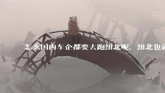 怎么国内车企都要去跑纽北呢，纽北也就是个普通赛道?