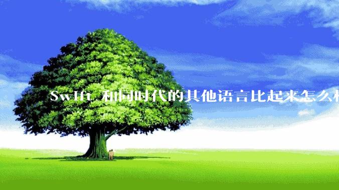 Swift 和同时代的其他语言比起来怎么样？