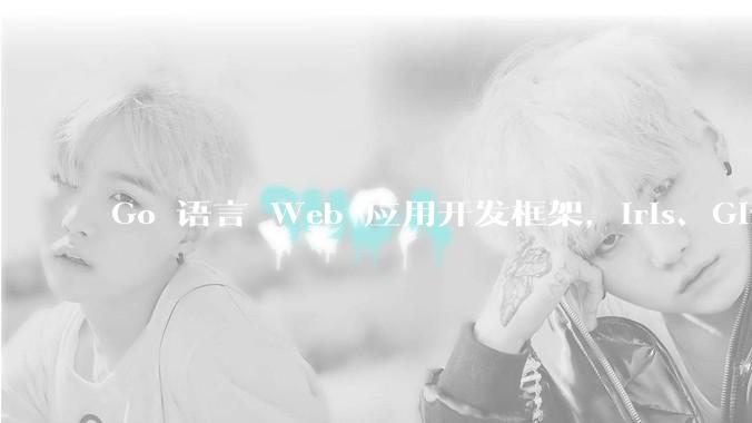 Go 语言 Web 应用开发框架，Iris、Gin、Echo，哪一个更适合大型项目？