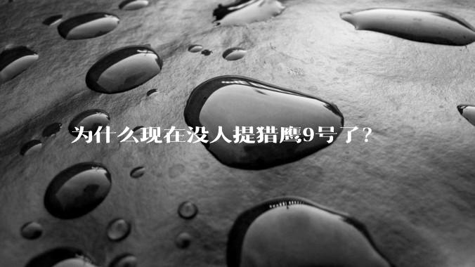 为什么现在没人提猎鹰9号了？