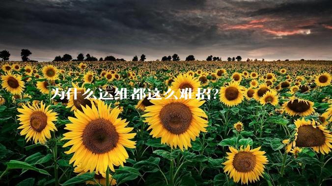 为什么运维都这么难招？