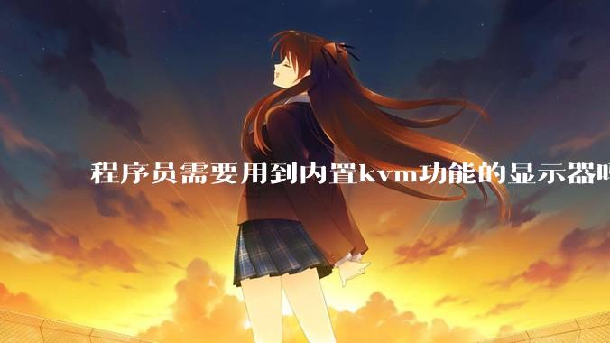 程序员需要用到内置kvm功能的显示器吗？或者是外置的kvm切换器吗？