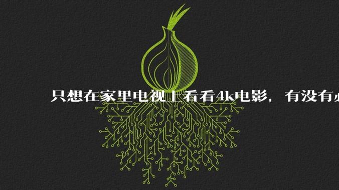 只想在家里电视上看看4k电影，有没有必要搞nas?