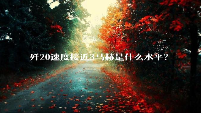 歼20速度接近3马赫是什么水平？