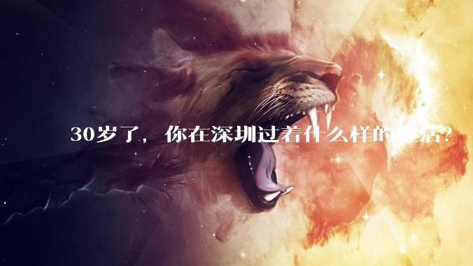 30岁了，你在深圳过着什么样的生活？