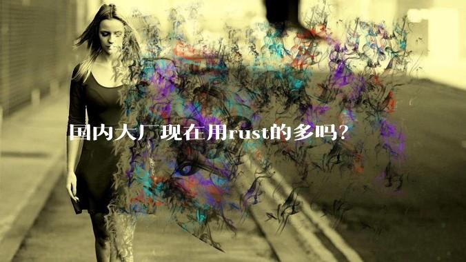 国内大厂现在用rust的多吗？